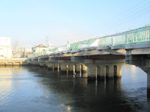 中州にかかる橋ランカンがボコボコ.JPG