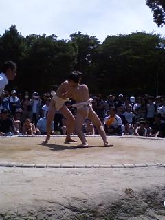 P2011_0515_相撲大会２.JPG