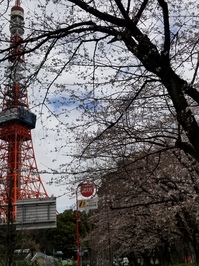 20180323_タワーと桜.jpg